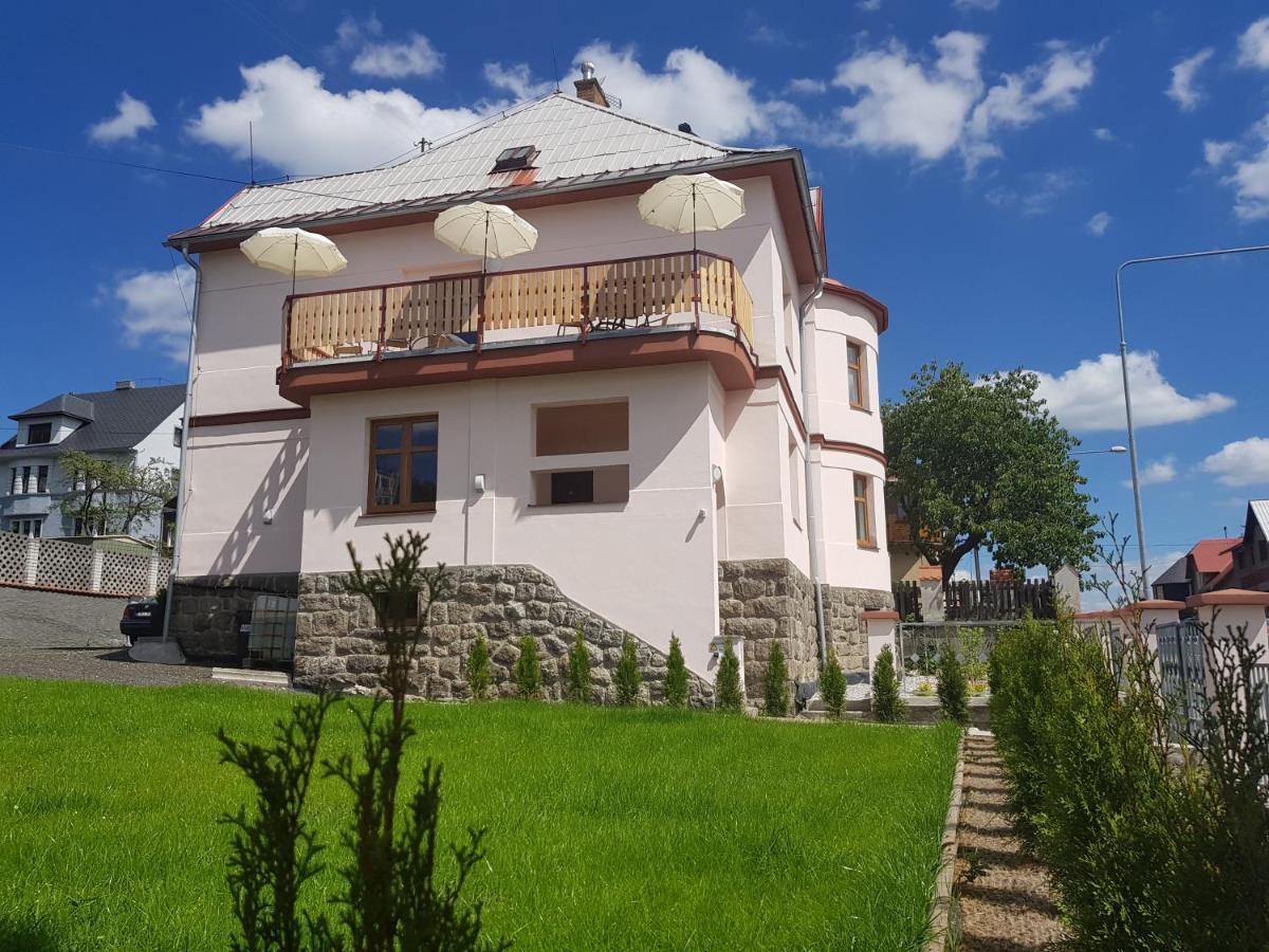 Vila Nejdek - Erzgebirge Aparthotel Eksteriør bilde