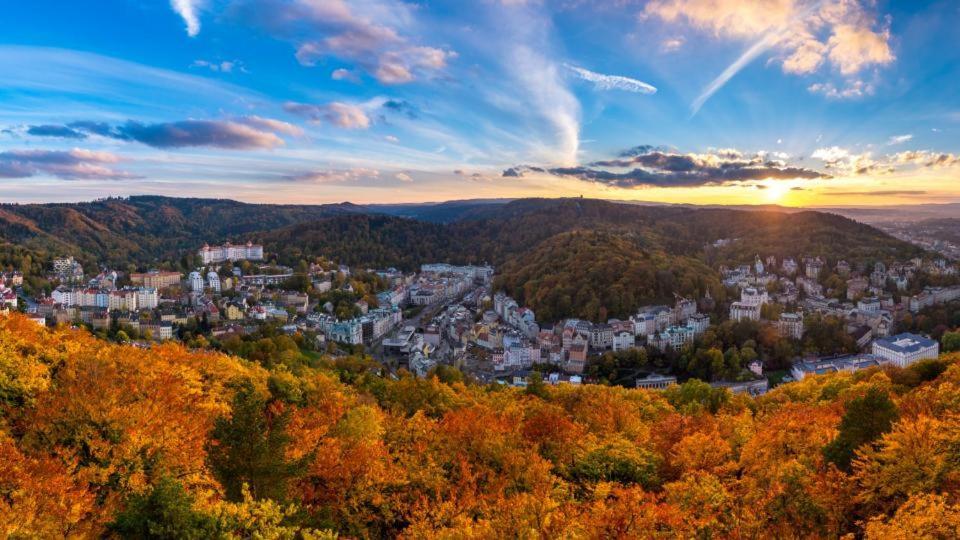 Vila Nejdek - Erzgebirge Aparthotel Eksteriør bilde